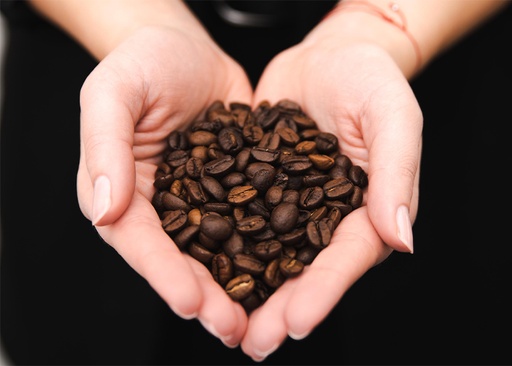 [25-DB0002162] Melange Medium Roast (520g)